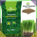 3300op. x Trawa Uniwerslana Zagęszczająca Odporna Mieszanka Nasion Traw 5 kg 200 m²