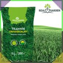 3300op. x Trawa Uniwerslana Zagęszczająca Odporna Mieszanka Nasion Traw 5 kg 200 m²