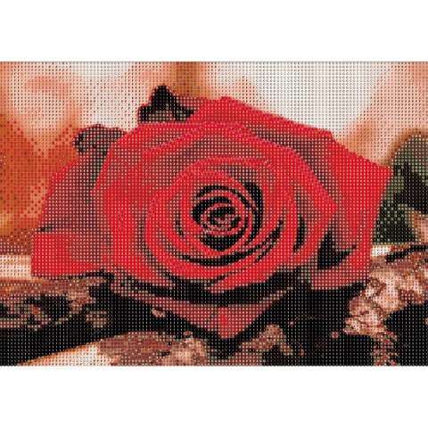 Diamond Painting Haft Diamentowy Mozaika Zestaw 5D Płótno Rama 20X30