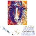 MALOWANIE PO NUMERACH OBRAZ Z RAMĄ DIY ZESTAW PĘDZLE FARBY PŁÓTNO 30x40