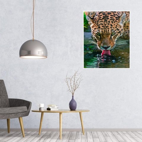 MALOWANIE PO NUMERACH OBRAZ Z RAMĄ DIY ZESTAW PĘDZLE FARBY PŁÓTNO 30x40