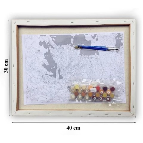 MALOWANIE PO NUMERACH OBRAZ Z RAMĄ DIY ZESTAW PĘDZLE FARBY PŁÓTNO 30x40