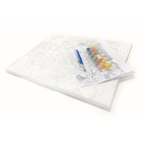 MALOWANIE PO NUMERACH OBRAZ Z RAMĄ DIY ZESTAW PĘDZLE FARBY PŁÓTNO 30x40