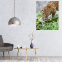 MALOWANIE PO NUMERACH OBRAZ Z RAMĄ DIY ZESTAW PĘDZLE FARBY PŁÓTNO 40x50