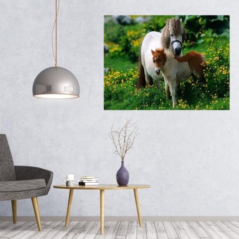 MALOWANIE PO NUMERACH OBRAZ Z RAMĄ DIY ZESTAW PĘDZLE FARBY PŁÓTNO 40x50