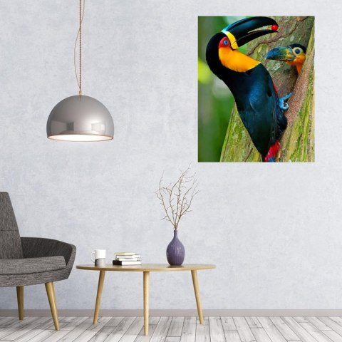 MALOWANIE PO NUMERACH OBRAZ Z RAMĄ DIY ZESTAW PĘDZLE FARBY PŁÓTNO 40x50