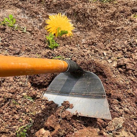 Motyka Haczka Ogrodowa Kopaczka do Roślin Chwastów Pielenia Plewnienia 32cm