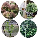 Pergola Ogrodowa Tarasowa Metalowa Podpora do Pnączy Róż Kwiatów 50x10cm biała