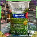 Nawóz do Trawnika Trawy Wieloskładnikowy NPK 20-8-10 Granulat 10 kg 500 m