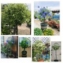 Pergola Ogrodowa Tarasowa Metalowa Podpora do Pnączy Róż Kwiatów 50x10cm zielona