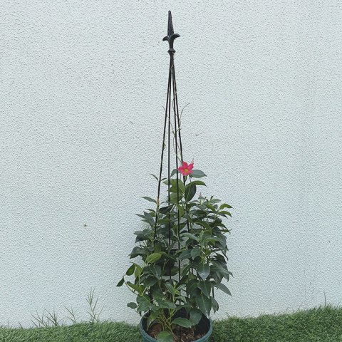 12x Podpora Pergola Ogrodowa Tarasowa na KWiaty Stojak Metalowy Roślin 150 cm