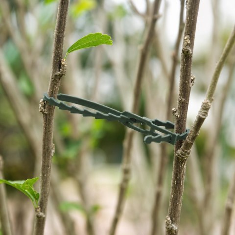 Opaski Ogrodowe 100szt Zaciskowe do Spinania Roślin Kwiatów Regulowane 23cm