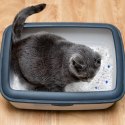 8x Żwirek Silikonowy dla Kota do Kuwety 1,5 kg Niezbrylający Bezpyłowy Wydajny