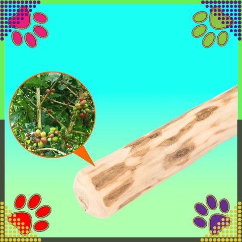 Patyk Gryzak z Drzewa Drewna Naturalny dla Psa Wytrzymały Zabawka 20x3,5cm