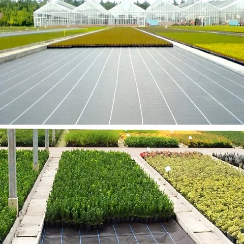 100X Agrowłóknina 70g 1,6m x 50m Czarna UV Agrotkanina Mata Antychwastowa