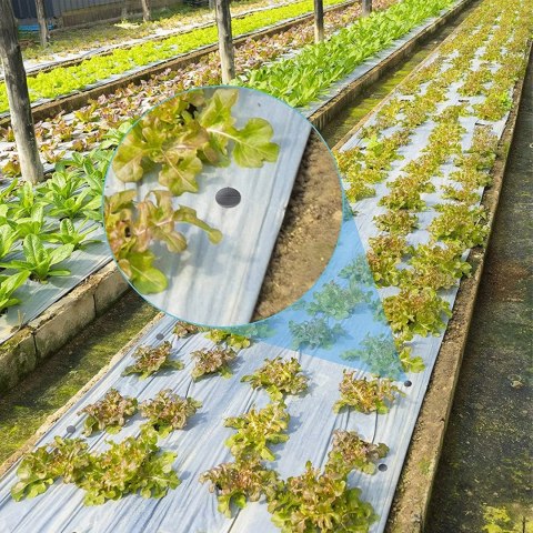 840kmpl x Szpilki Kotwy Kołki do Agrowłókniny Agrotkaniny Mocne 50 szt 15cm