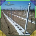 Agrowłóknina 70g 1,6x100m Biała UV Agrotkanina Mata Antychwastowa + Kotwy