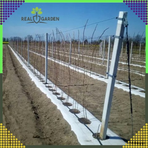 Agrowłóknina 70g 1,6x100m Biała UV Agrotkanina Mata Antychwastowa + Kotwy