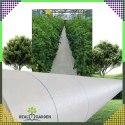 Agrowłóknina 70g 1,6x50m Biała UV Agrotkanina Mata Antychwastowa + Kotwy