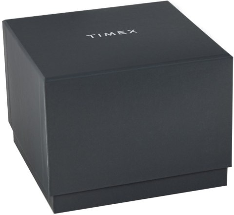 Zegarek Męski TIMEX Q Reissue TW2U61700 + BOX